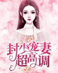 封少宠妻超甜的免费版
