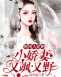财团大佬的小娇妻又飒又野