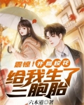 震惊开局校花给我生了三胞胎小说
