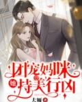 团宠妈咪她持美行凶