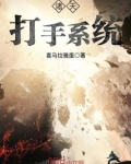 诸天打手系统三葬