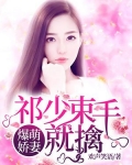 爆萌娇妻:祁少束手就擒免费阅读