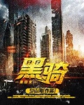 黑骑士电动车质量怎么样