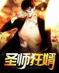 圣师狂婿免费阅读