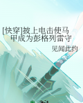 快穿披上电击使马甲成为彭格列雷守护者免费