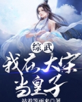 综武:我在大宋当皇子