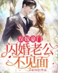 误嫁豪门，闪婚老公不见面
