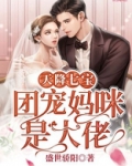 天降七宝，团宠妈咪是大佬