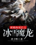 妖精的尾巴之冰雪魔龙 小说