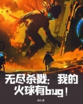 无尽杀戮我的火球有bug听书