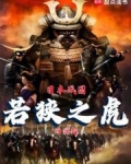日本战国：若狭之虎的崛起