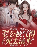 新婚当天植物人老公醒了