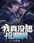 我真没想捡漏啊白金下载