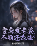 官府发老婆,一发发四个小说下载