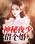 神秘夜少借个婚