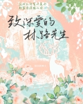 致深爱的林路先生娱乐圈