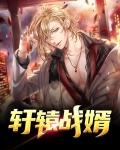 轩辕战婿
