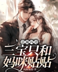 三宝来袭:总裁夫人美爆全球