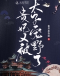 贵妃又被太子宠野了霍锦和月落
