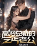 霸道总裁乞丐妻千菲雨
