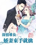 深情难负小说