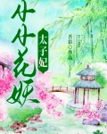 凌小小最后当太子妃了吗