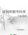 穿到明朝考科举TXT下载