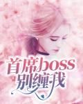 首席大人别缠我