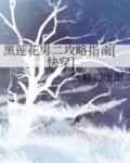 《黑莲花男二攻略指南》