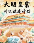 大明皇宫升级改造计划