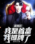 离婚后我成了首富的孙女电视剧