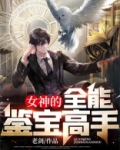 女神的全能鉴宝高手免费阅读
