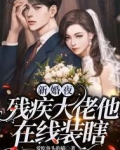 新婚夜，残疾大佬他在线装瞎