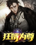 狂婿全文免费