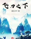 飞刀之下小说