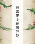 邪帝宠上神藤狂妃