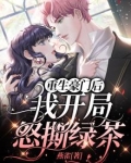 重生豪门后，我开局怒撕绿茶