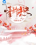 情醉未央洛泱容景湛小说全文免费阅读