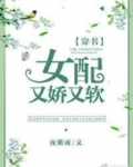 女配又娇又软晋江