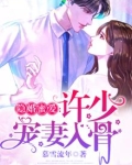 隐婚蜜爱：许少宠妻入骨