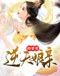 逆天双宝:爹爹,娘亲又跑了