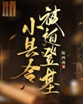 小县令被迫登基(基建)紫薇中文的