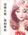 迫婚总裁，强制要娃