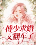 小说傅少追妻套路深免费阅读
