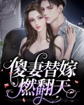 替嫁傻妻的宠婚