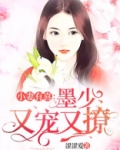 小妻有喜,墨少