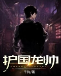 护国龙帅陈天龙