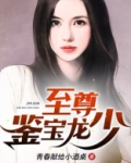 至尊龙少归来电视剧