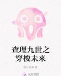 查理九世之穿梭未来