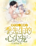 重生后，我成了季先生的心尖宠